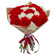 bouquet of white and red carnations. India